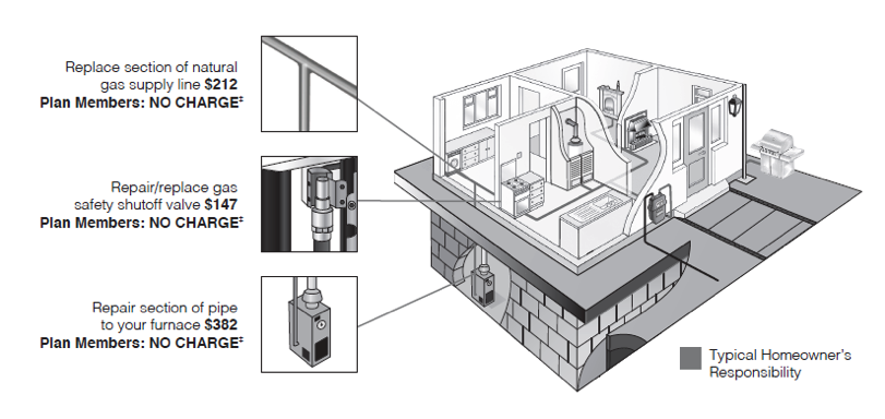 Typical Homeowner's Responsibility