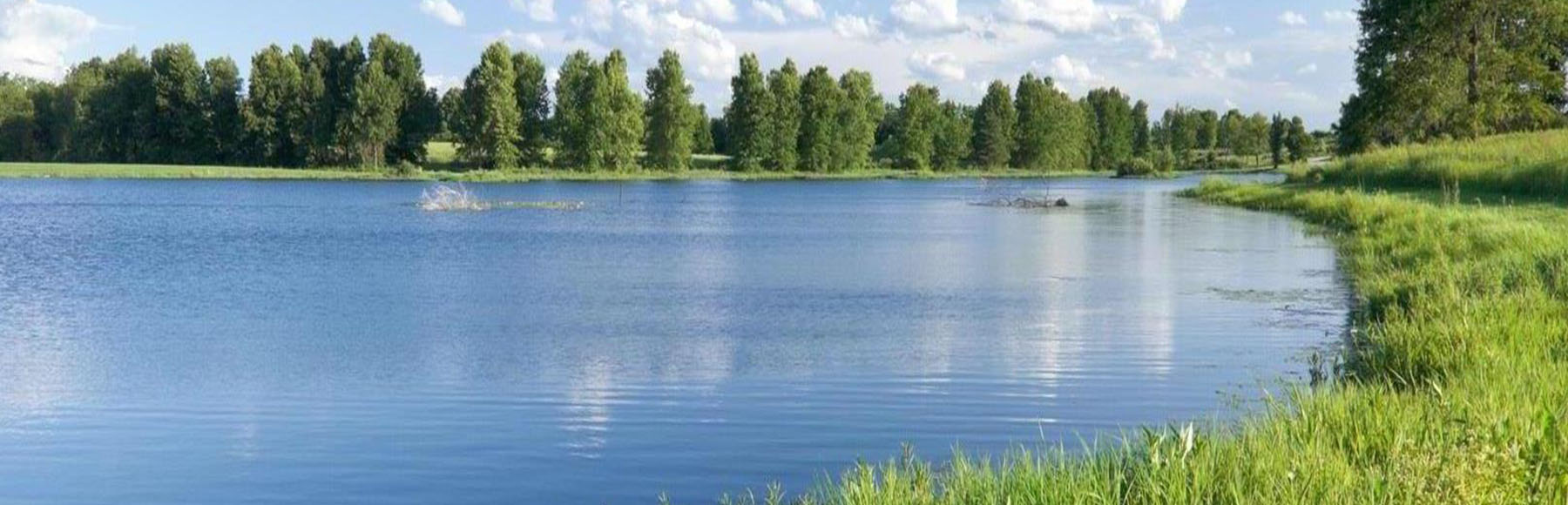 Landscape scene of a lake surrounded by trees