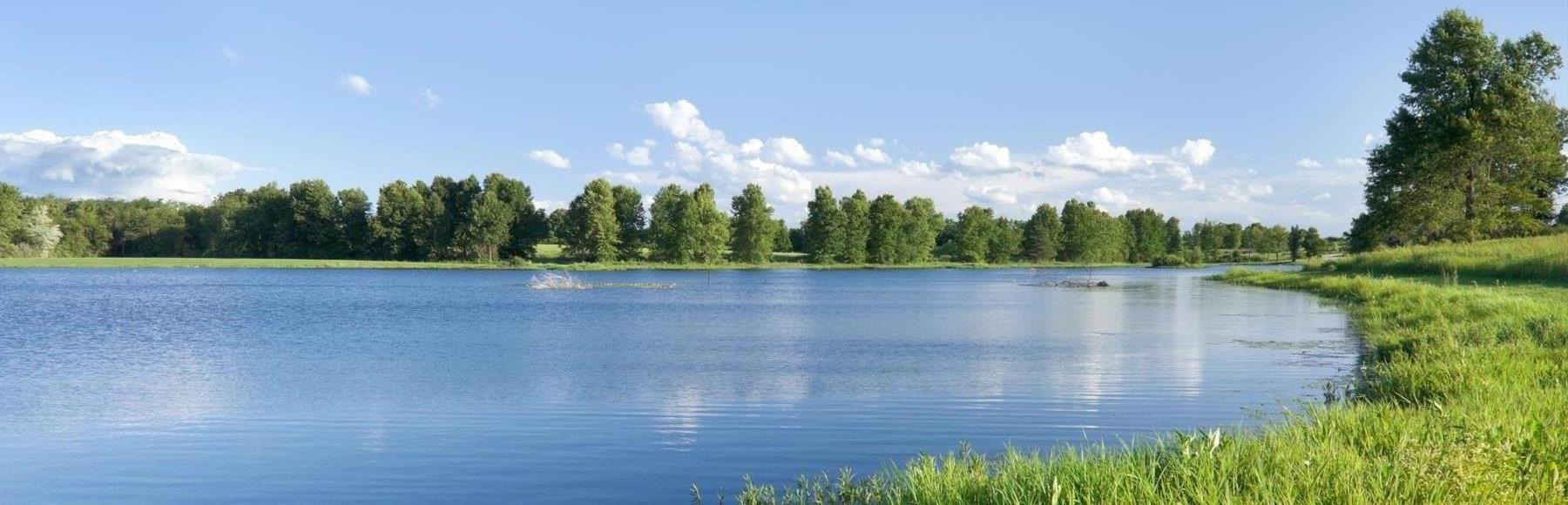 Landscape scene of a lake surrounded by trees